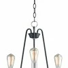 Brand new 👏 Maxim Haven 60W 3-Light Medium E-26 Incandescent Chandelier in Black with Satin Nickel ⌛
