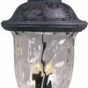 Brand new 🎁 Maxim Carriage House 3-Light Outdoor Hanging Lantern in Oriental Bronze 🔔 -Cheap Maxim Lighting Store Query 200