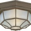 Brand new 🔔 Maxim Crown Hill 2-Light Outdoor Ceiling Mount in Rust Patina 🎁