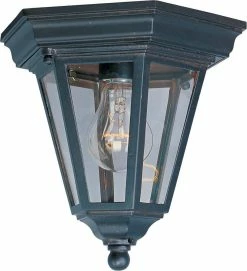 Brand new 😍 Maxim Westlake 8-1/2 in. 1-Light Outdoor Ceiling Mount Light in Empire Bronze 👍