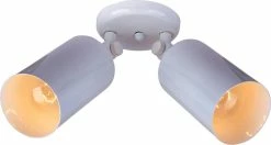 Deals ⌛ Maxim 50W 2-Light Halogen Ceiling Light Fixture in White 🥰