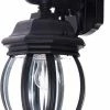 Discount 🧨 Maxim 1-Light Wall Lantern in Black 🌟
