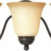 Best Pirce โญ Maxim Basix 9 in. 100 W 3-Light Medium Vanity in Oil Rubbed Bronze โจ 1 Best Pirce โญ Maxim Basix 9 in. 100 W 3-Light Medium Vanity in Oil Rubbed Bronze โจ -Cheap Maxim Lighting Store Query 721
