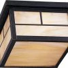 Top 10 π Maxim Coldwater 60 W 2-Light Outdoor Semi-Flush Mount Ceiling Fixture with Honey Glass in Burnished π 1 Top 10 π Maxim Coldwater 60 W 2-Light Outdoor Semi-Flush Mount Ceiling Fixture with Honey Glass in Burnished π -Cheap Maxim Lighting Store Query 809